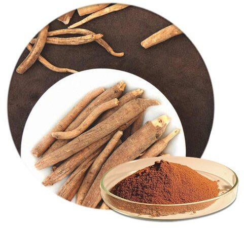 Ashwagandha Extract For Medicinal