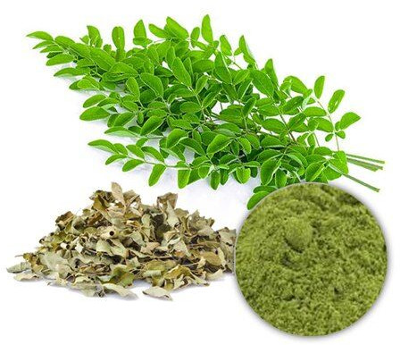 Moringa Powder, Packaging Type : Pouch