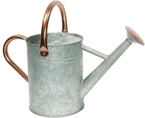 Polished Galvanized Iron Watering Can, Color : Silver