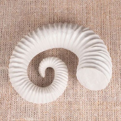 Snails Pace (white) Ceramic Home Decor