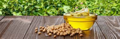 Soyabean Oil, Health Benefits : Lowers Cholestrol