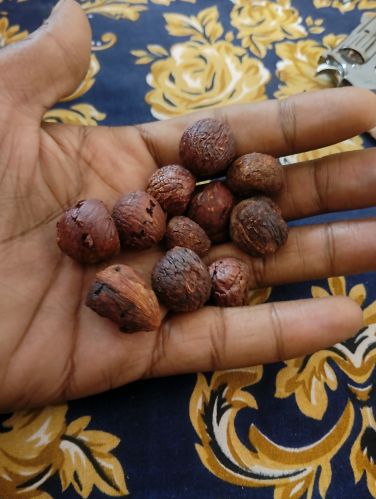 Raw Organic Red Areca Nut