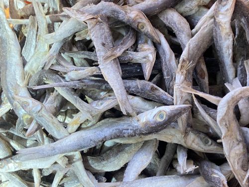 Panna Dry Fish, Color : Grey For Human Consumption, Use In Cooking