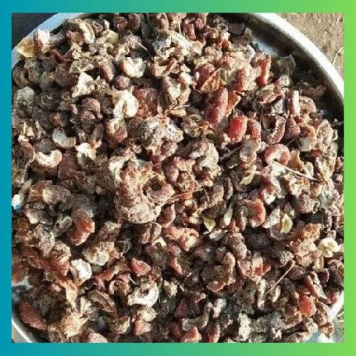 Seedless Amla, Certification : FSSAI Certified