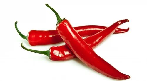 Fresh Red Chilli, Packaging Type : Gunny Bags For Spices Human Consumption