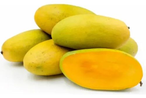 Organic Fresh Dasheri Mango, Packaging Size : 5-25kg, Packaging Type : Corrugated Box For Human Consumption