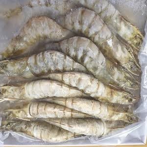 Prawns Fresh, Frozen, Freezing Process : Cold Storage