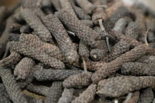 Natural Black Long Pepper For Use In Cooking Herbal Products