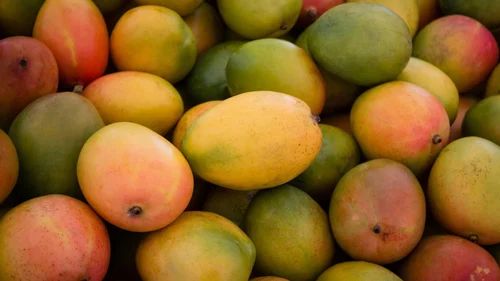 Natural Fresh Mango, Packaging Size : 5 Kg, Certification : FSSAI Certified