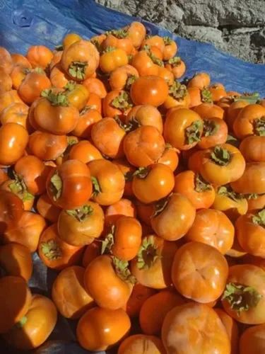 Fresh Persimmon, Color : Orange, Certification : FSSAI Certified, Taste : Sweet