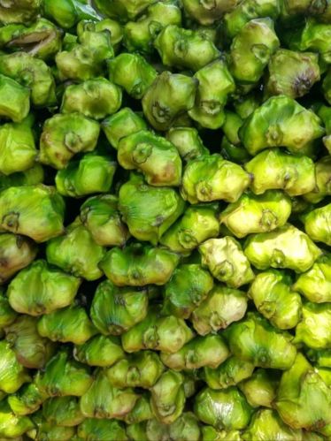 Fresh Water Chestnut, Packaging Size : 20 Kg