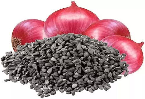Onion Seeds, Packaging Type : Pp Bag for Agriculture