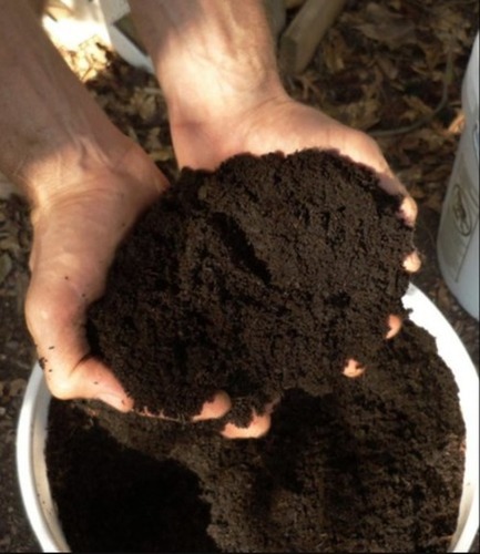 Organic Black Vermicompost Fertilizer, Moisture : 0-10%