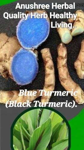 Black turmeric, Form : Solid