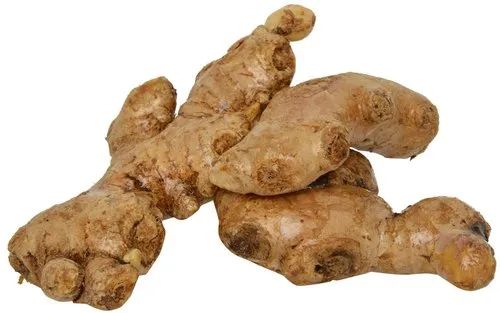 Fresh Mahim Ginger, Color : Brown, Packaging Type : Gunny Bag, Packaging Size : 5-25kg