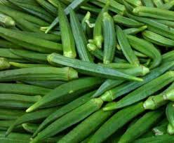 Fresh Pusa Sawani Okra, Color : Green, Packaging Type : Plastic Bag, Packaging Size : 5-25kg