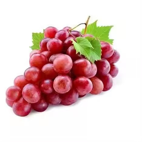 Fresh Red Grapes, Packaging Type : Carton Box, Packaging Size : 5kg, 4.5 Kg For Human Consumption