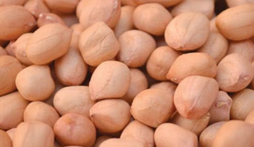 Tj Peanuts, Color : Brown, Packaging Type : Plastic Bag, Packaging Size : 25-50kg