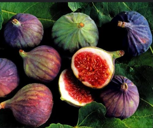 Anjeer Sweets, Packaging Type : Red