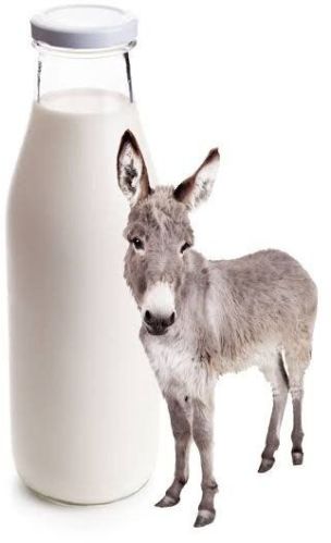 Pure Donkey Milk, Color : White, Packaging Type : Packet For Human Consumption