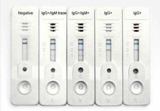 Widal Test Kit, Color : Off White, Packaging Type : Paper Box