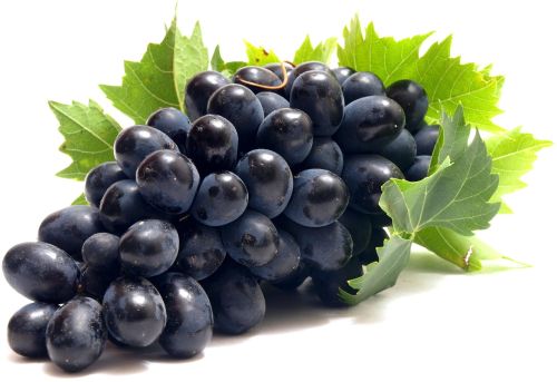 Fresh Black Grapes, Taste : Sweet, Packaging Type : Crate