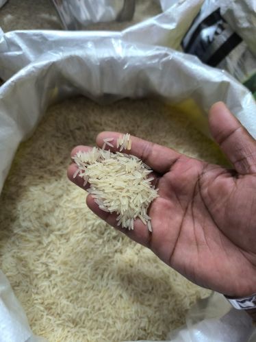 Maa Hard Organic Rice, Color : Natural White Midum Size, Certification : FSSAI Certified