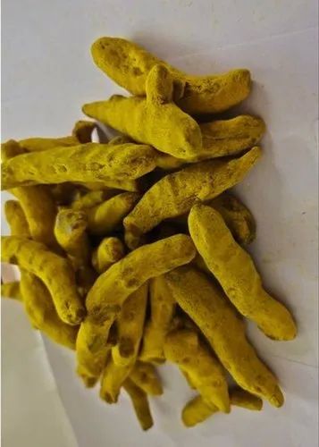 Organic Dry Turmeric Finger, Color : Yellow, Packaging Type : Bag, Packaging Size : 20 Kg