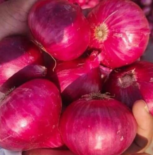 Onion, Packaging Type : Varies (typically White, Yellow, Or Red)