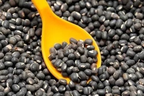 Black Gram Pulses, Certification : FSSAI Certified, Grade Standard : Food Grade For Human Consumption