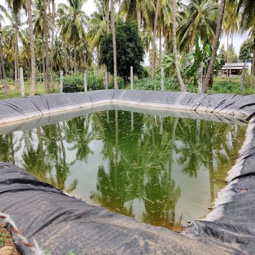 Rainwater Harvesting Pond Services