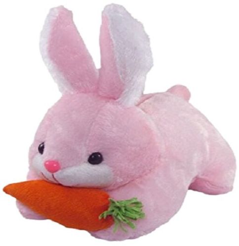 Carrot With Rabbit Soft Toy