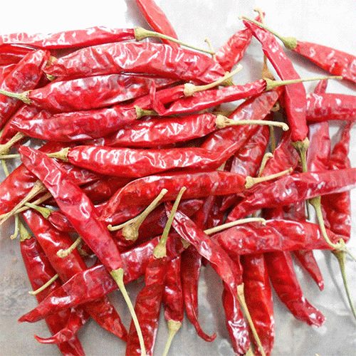 Organic 334 Dried Red Chiili, Packaging Type : PP Bag For Cooking