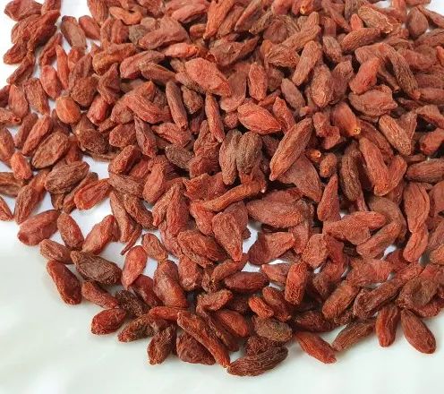 Dehydrated Goji Berries, Color : Red, Packaging Type : Packet