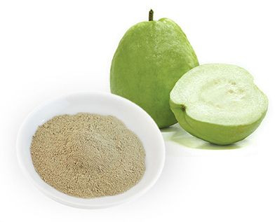 Guava Powder, Color : Brown, Taste : Sweet Musky