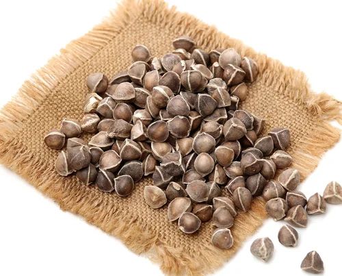 Natural Fine Processed Moringa Seeds, Color : Brown, Packaging Type : Plastic Packet