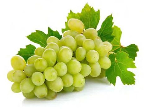 Natural Fresh Green Grapes, Packaging Type : Paper Box, Packaging Size : 10kg For Human Consumption