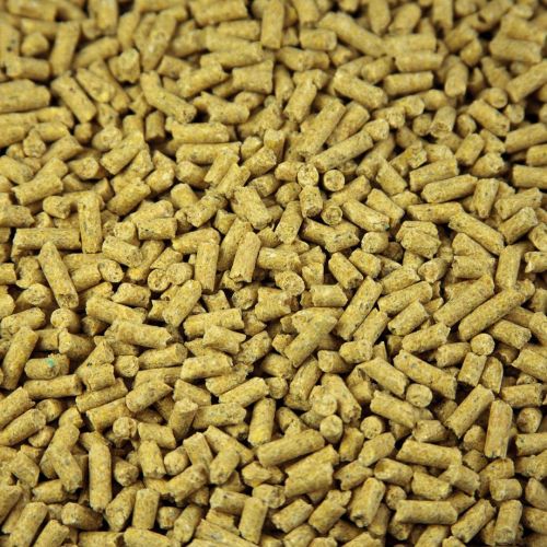 Cattle Feed Pellets, Color : Yellow, Packaging Size : 25kg, 50kg, Packaging Type : PP Bag