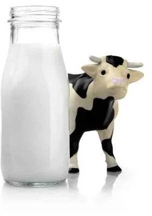 Fresh Cow Milk, Color : White 99%, Packaging Type : Packet