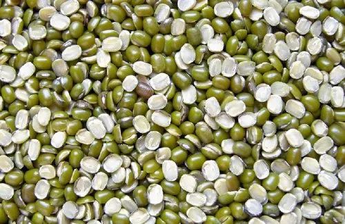 Moong Dal Chilka, Color : Green, Speciality : High In Protein