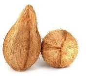 Natural Whole Dried Coconut, Color : Brown, Taste : Light Sweet For Oil, Cooking