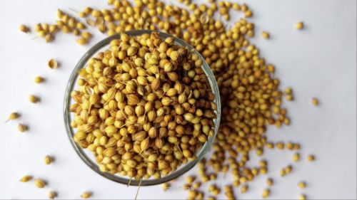 Natural Coriander Seed 99%, Certification : FSSAI Certified, Grade Standard : Food Grade