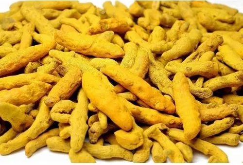 Natural Turmeric Finger, Certification : FSSAI Certified For Ayurvedic Products, Cooking, Herbal Products