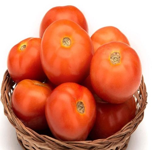 Fresh Tomato, Color : Red
