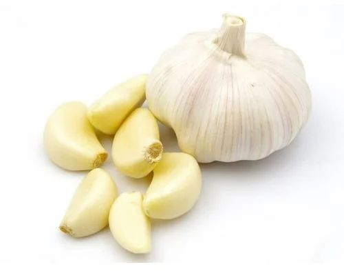 Fresh Garlic, Color : Creamy, Packaging Type : Gunny Bags, Storage Tips : Cool Dry Place