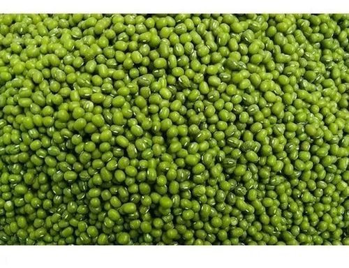 Green Moong Dal, Packaging Type : Packet For Cooking, Human Consumption