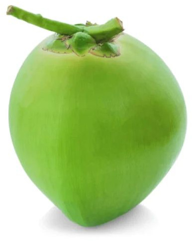 Green Tender Coconut, Available Grades : A Grade for Human Consumption