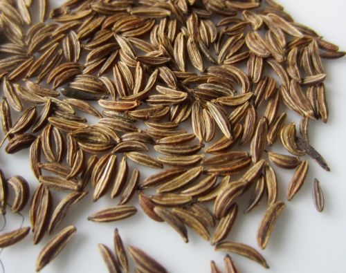 Organic Caraway Seeds, Color : Brown, Certification : FSSAI Certified, Grade Standard : Food Grade