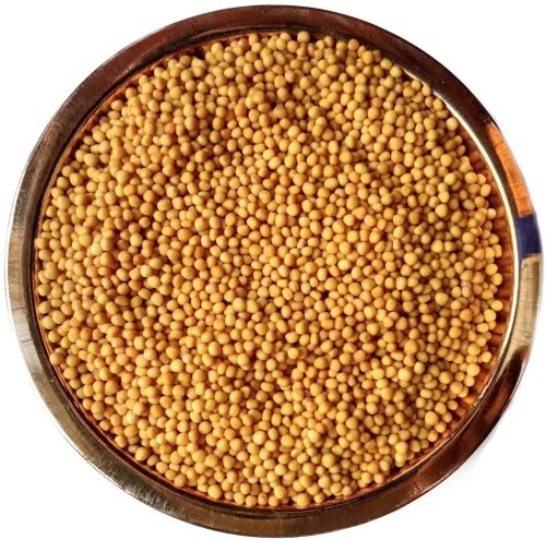 Yellow Mustard Seeds For Cooking