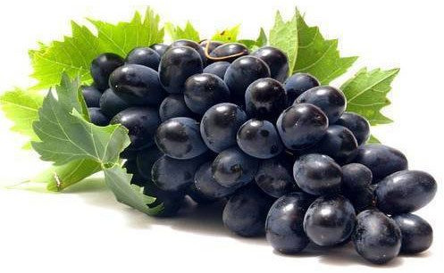 Fresh Black Grapes, Packaging Type : Carton, Taste : Sweet